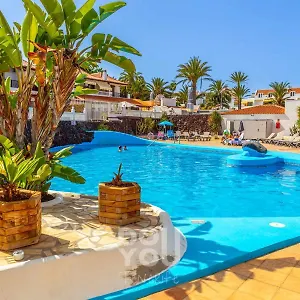 https://apartment-paraiso-royal.tenerifehoteles.net